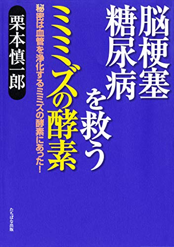 Book on lumbrokinase by Shinichiro Kurimoto